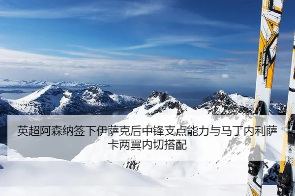 ying-chao-a-sen-na-qian-xia-yi-sa-ke-hou-zhong-feng-zhi-dian-neng-li-yu-ma-ding-nei-li-sa-ka-liang-yi-nei-qie-da-pei-3-278.jpg