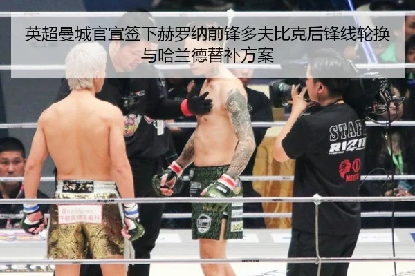 ying-chao-man-cheng-guan-xuan-qian-xia-he-luo-na-qian-feng-duo-fu-bi-ke-hou-feng-xian-lun-huan-yu-ha-lan-de-ti-bu-fang-2-278.jpg